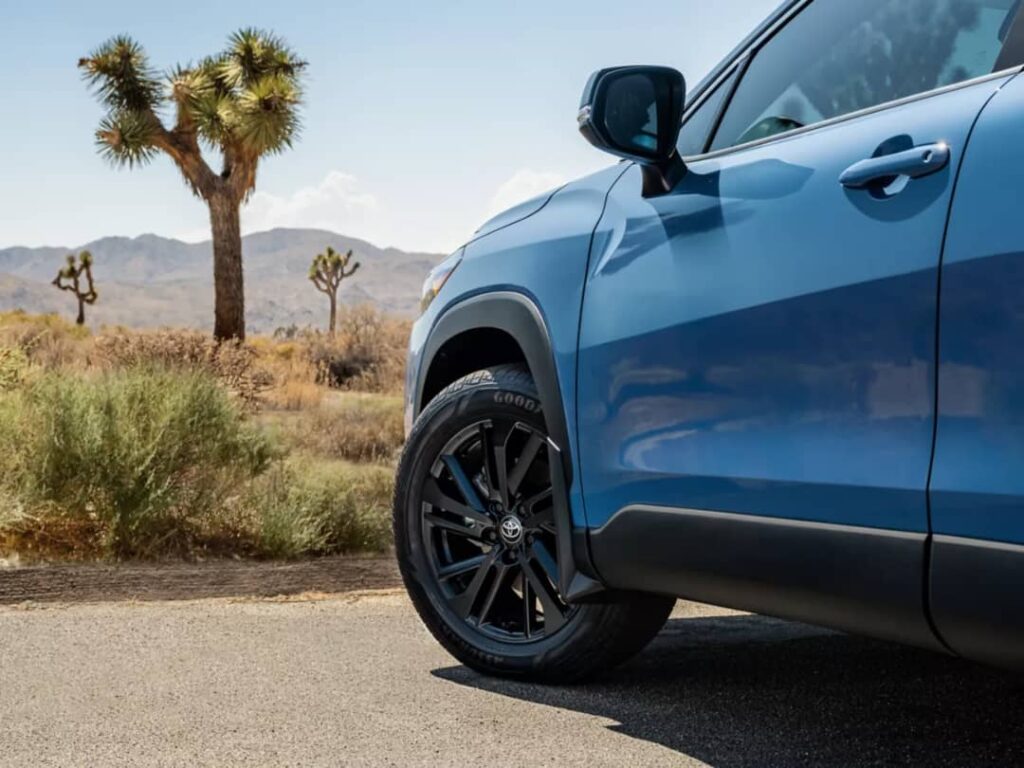 WhatsApp Image 2025-10-16 at 09.57.59_2f70867b