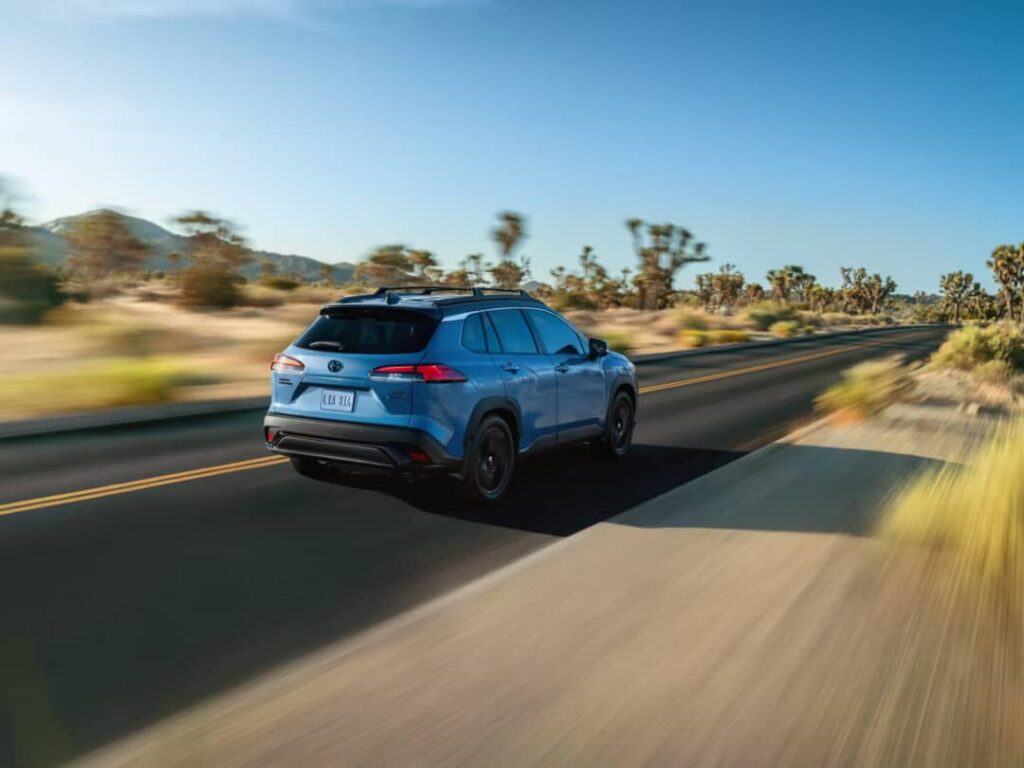 WhatsApp Image 2025-10-16 at 09.58.05_f3e29f0e